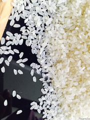 продам рис. рисовую драбленку для пивных заводов оптом урожай 2015г.
